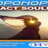 hypnal-hooponopono-soulmate-cover-m