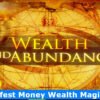 manifest-money-wealth-sbliminal (6)